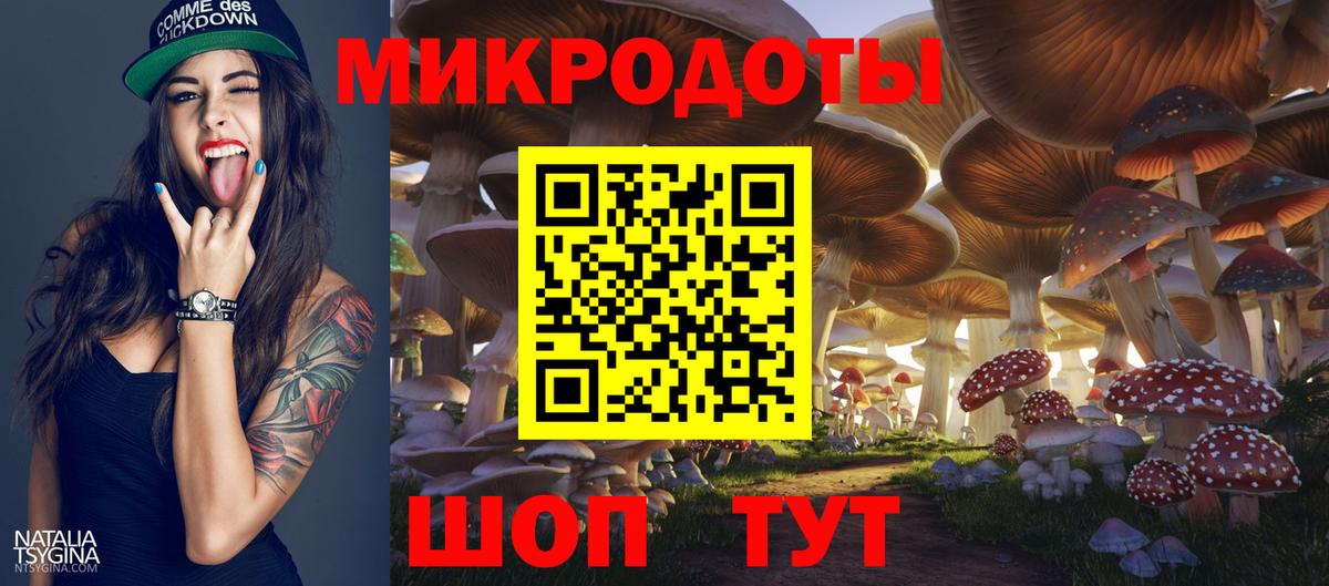 где купить наркотик  Псилоцибиновые грибы мицелий  Вход с VPN  Кохма  Псилоцибиновые грибы GOLDEN TEACHER 