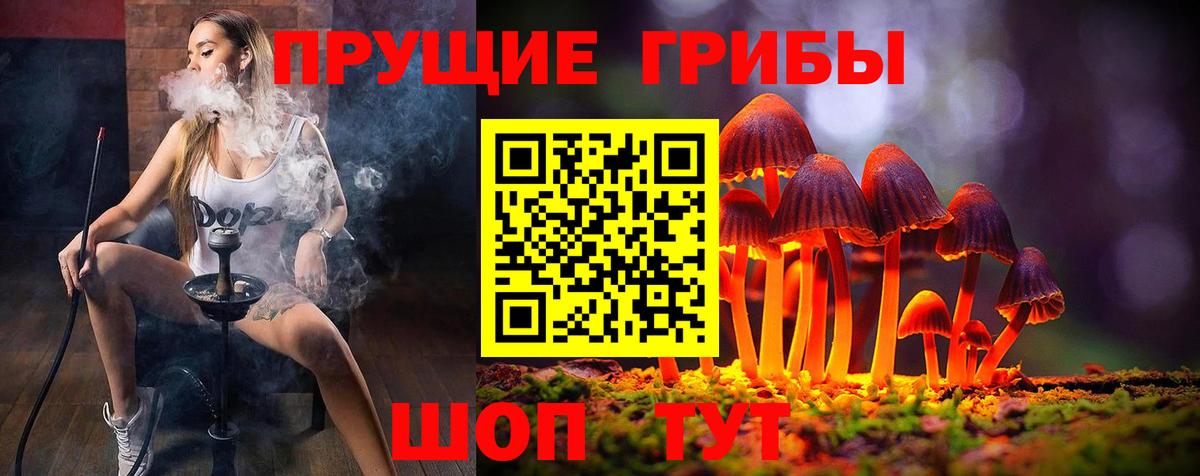 Псилоцибиновые грибы MAGIC MUSHROOMS Кохма